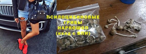 mdpv Бородино